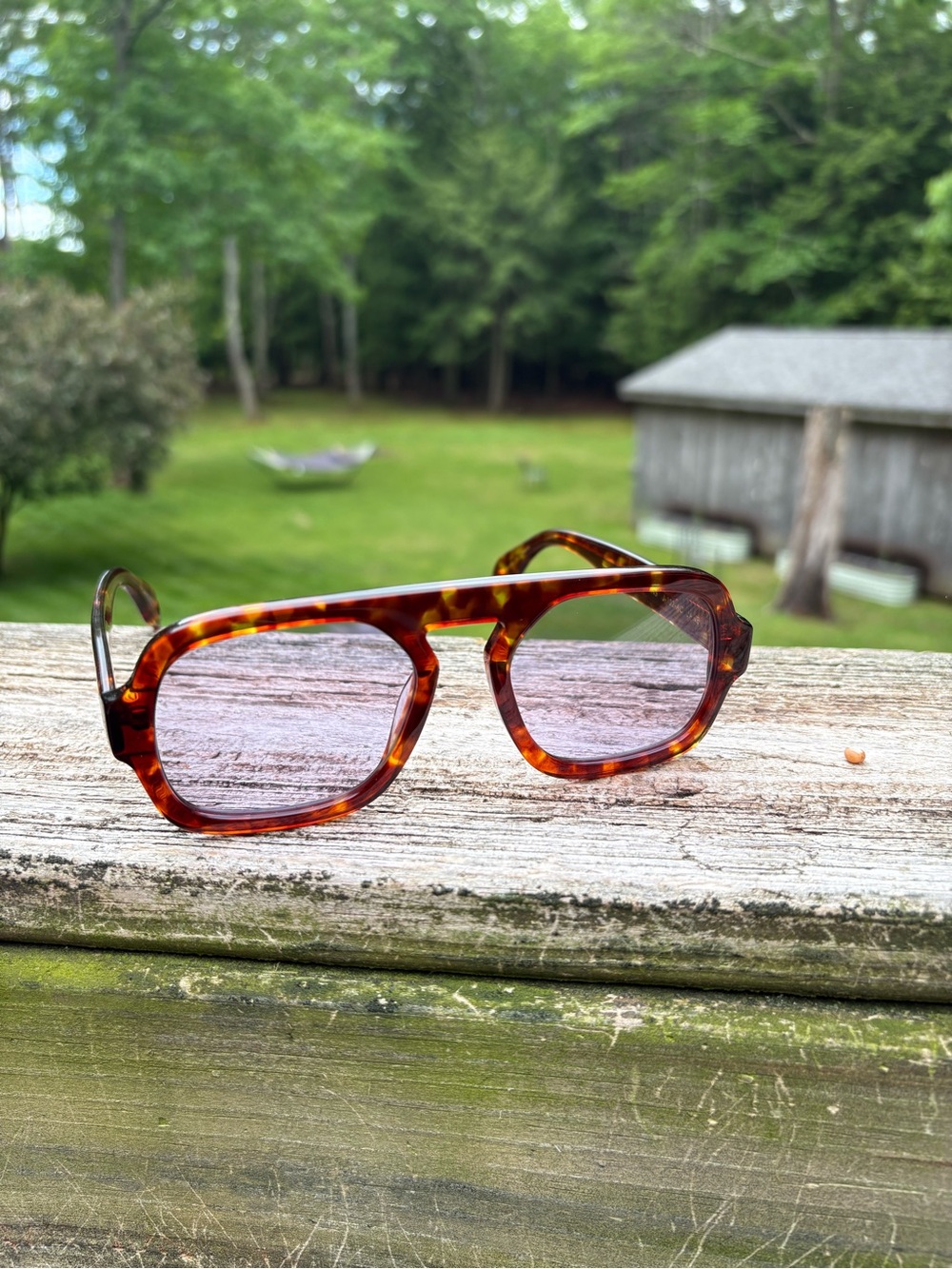 Elisa Johnson Jane Sunglasses - Picture 7 of 11